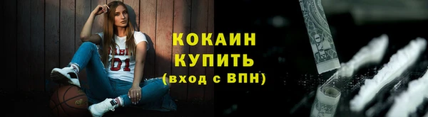 тгк Арсеньев