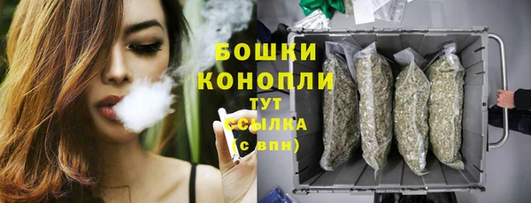 тгк Арсеньев