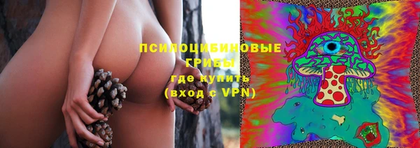 ПСИЛОЦИБИНОВЫЕ ГРИБЫ Армянск
