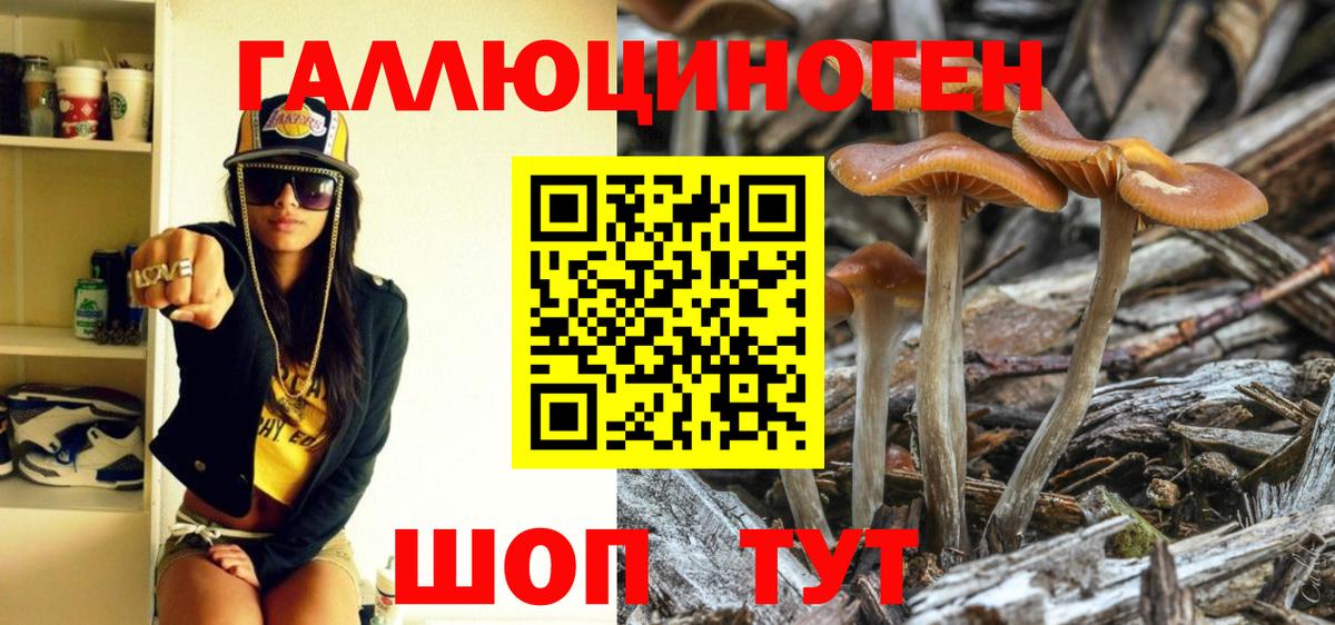 Галлюциногенные грибы Cubensis  где купить   Кировск  Вход с VPN 