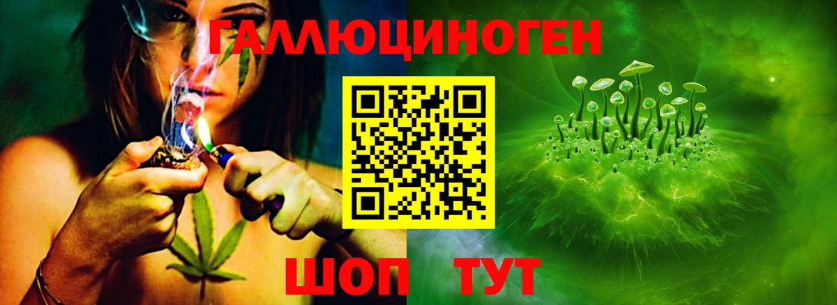 A PVP Кировск